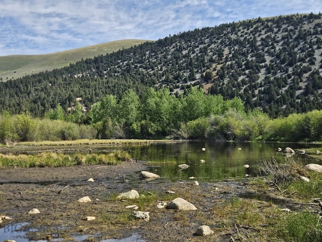 NHN Lost Creek Rd, Anaconda, MT 59711 - photo 3