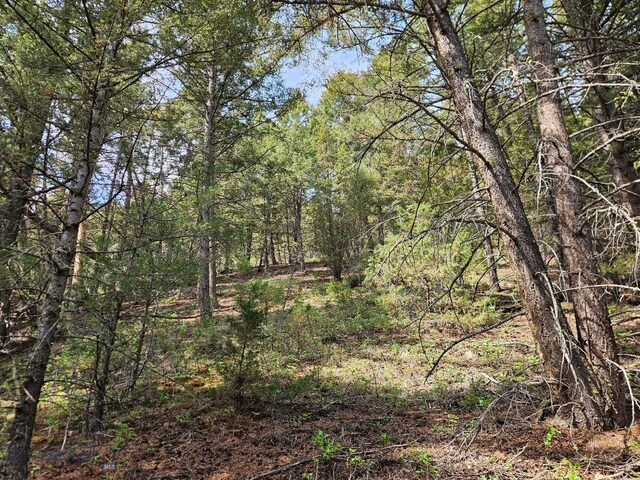 NHN Lost Creek Rd, Anaconda, MT 59711 - photo 26