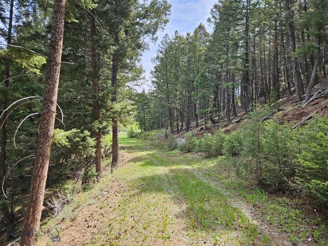 NHN Lost Creek Rd, Anaconda, MT 59711 - photo 27