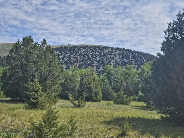 NHN Lost Creek Rd, Anaconda, MT 59711 - photo 28