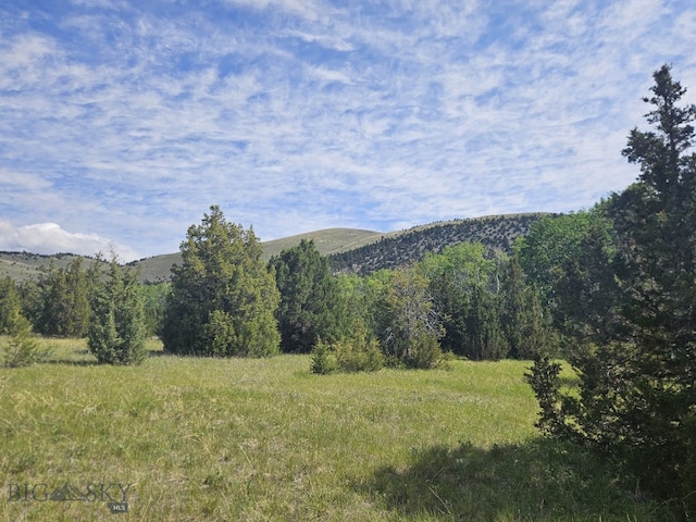 NHN Lost Creek Rd, Anaconda, MT 59711 - photo 36