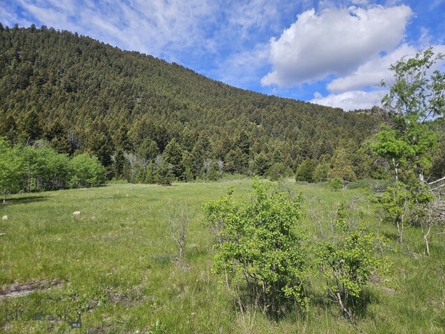 NHN Lost Creek Rd, Anaconda, MT 59711 - photo 37