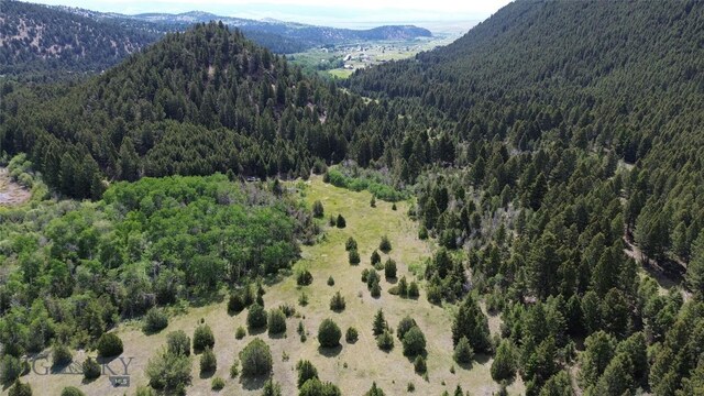 NHN Lost Creek Rd, Anaconda, MT 59711 - photo 10
