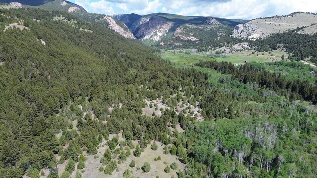 NHN Lost Creek Rd, Anaconda, MT 59711 - photo 32