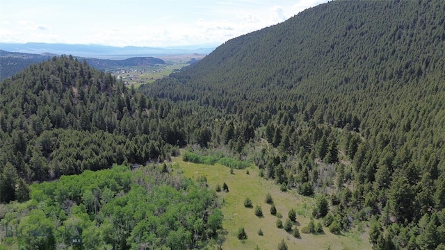 NHN Lost Creek Rd, Anaconda, MT 59711 - photo 34