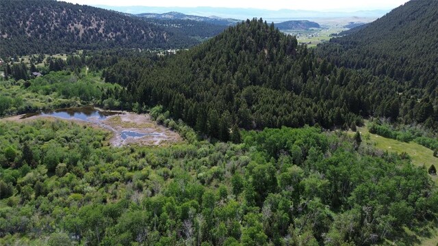 NHN Lost Creek Rd, Anaconda, MT 59711 - photo 38