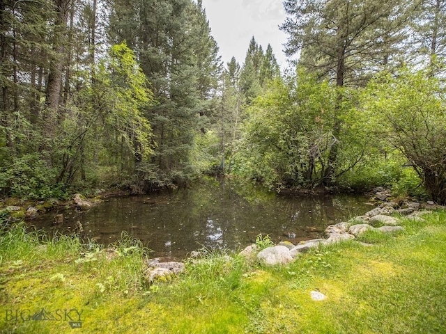 64370 Gallatin Rd, Gallatin Gateway, MT 59730 - water view featuring a forest
