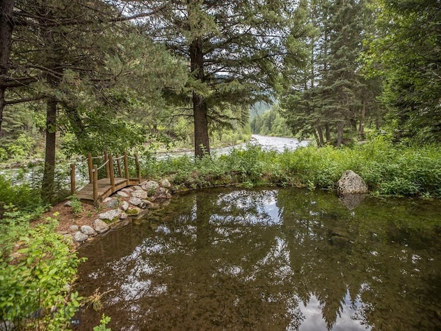 64370 Gallatin Rd, Gallatin Gateway, MT 59730 - water view with a forest