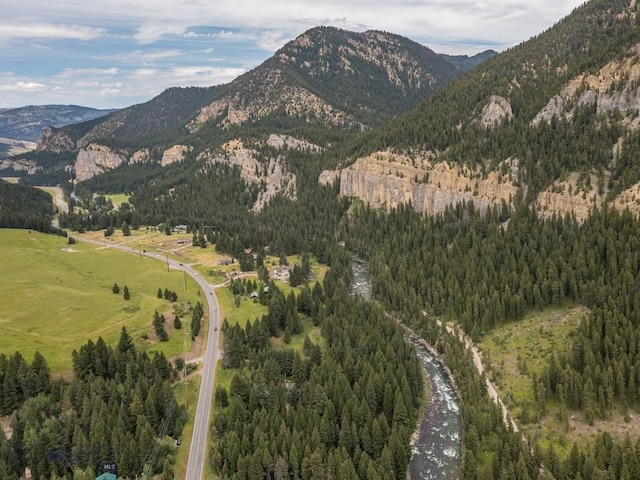 64370 Gallatin Rd, Gallatin Gateway, MT 59730 - view of mountain backdrop featuring a forest