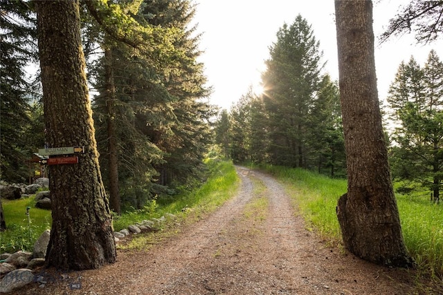 64370 Gallatin Rd, Gallatin Gateway, MT 59730 - view of dirt / gravel road with a wooded view