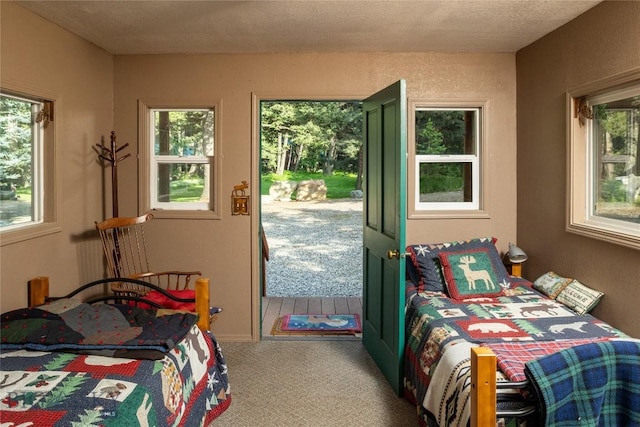 64370 Gallatin Rd, Gallatin Gateway, MT 59730 - bedroom with multiple windows, carpet floors, and a textured ceiling