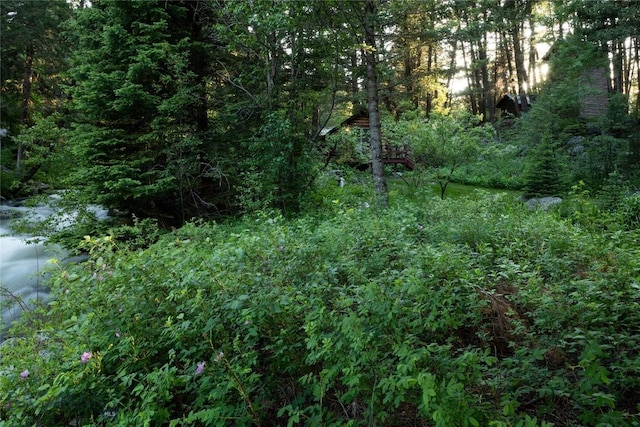 64370 Gallatin Rd, Gallatin Gateway, MT 59730 - view of tree filled area