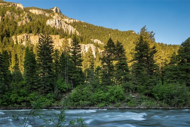 64370 Gallatin Rd, Gallatin Gateway, MT 59730 - view of mountain backdrop with a forest