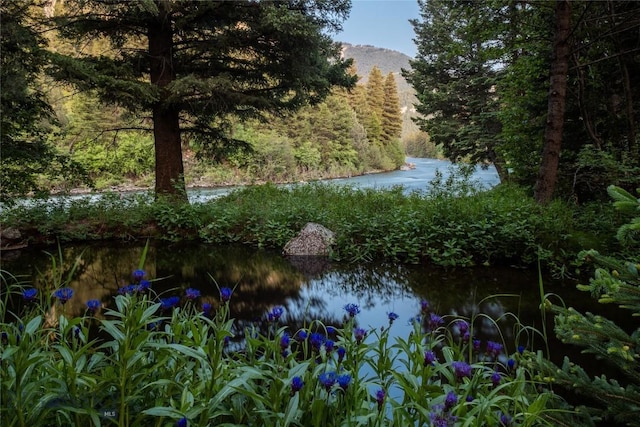 64370 Gallatin Rd, Gallatin Gateway, MT 59730 - water view with a forest and a mountain backdrop