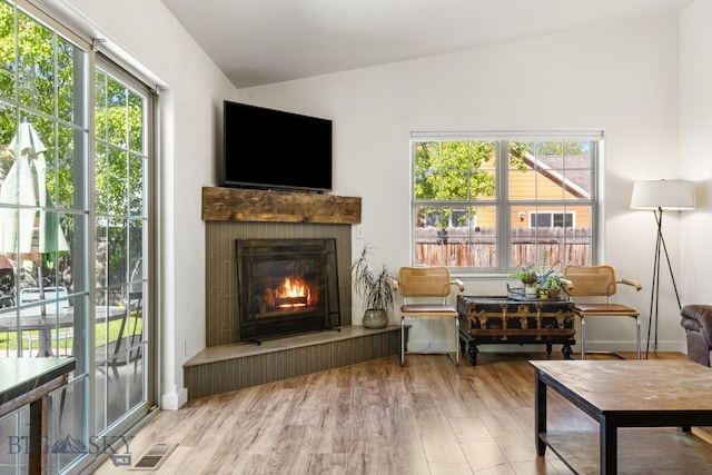 85 Shallow Brook Ln, Belgrade, MT 59714 - living area featuring a warm lit fireplace, wood finished floors, and lofted ceiling