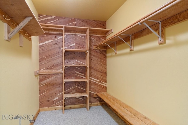 3030 Woodchuck Rd, Bozeman, MT 59715 - photo 24