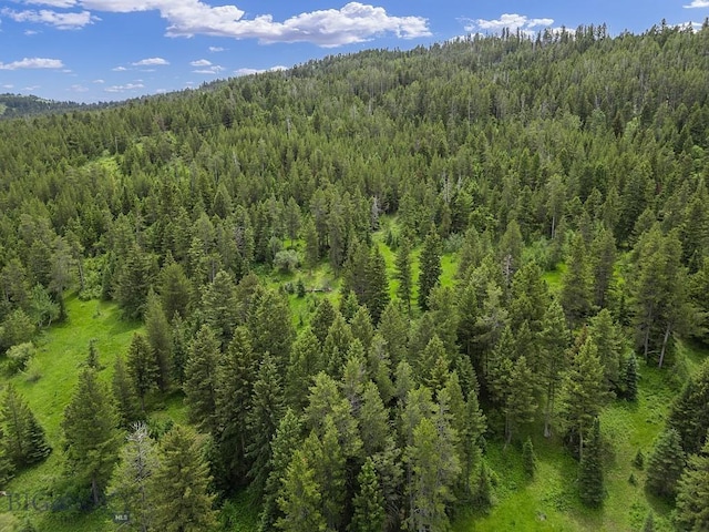 3030 Woodchuck Rd, Bozeman, MT 59715 - photo 47