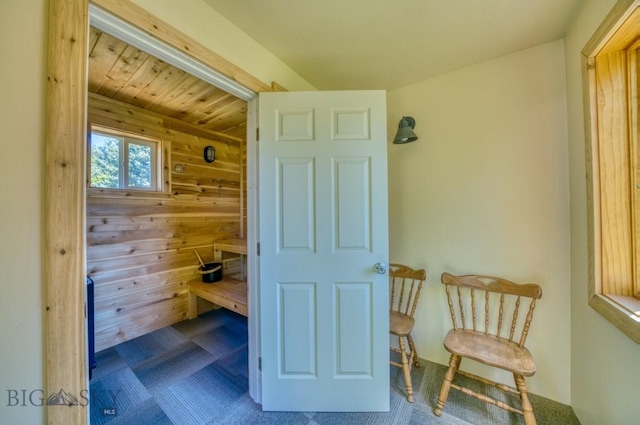 886 Wierda Way, Manhattan, MT 59741 - sauna / steam room with wooden walls and carpet floors