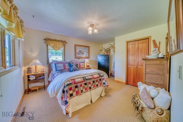 886 Wierda Way, Manhattan, MT 59741 - bedroom featuring light colored carpet and a closet