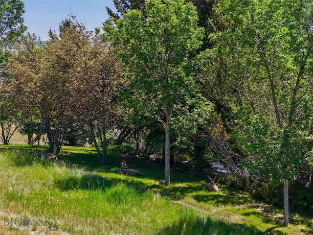 TBD N D St, Livingston, MT 59047