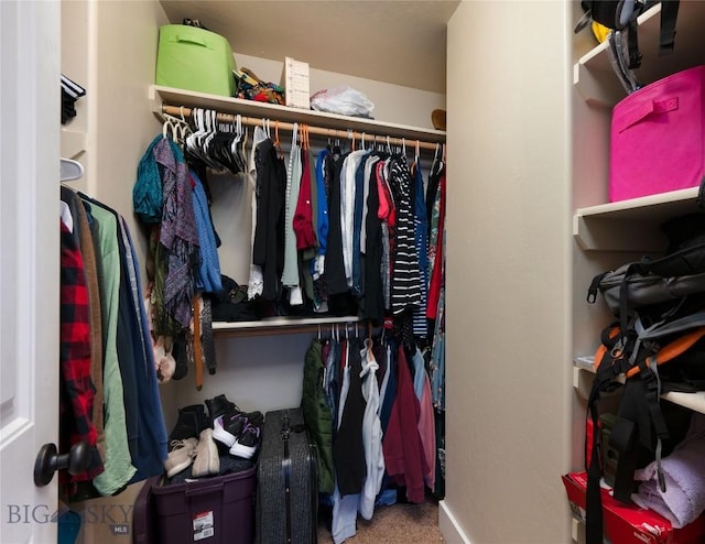 996 Saxon Way Unit B, Bozeman, MT 59718 - walk in closet featuring carpet