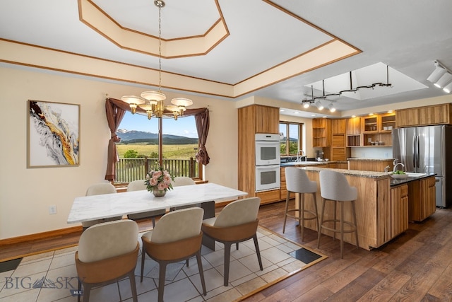 6385 Mt Highway 41, Whitehall, MT 59759 - dining space with a tray ceiling, a chandelier, dark wood-style flooring, and a mountain view