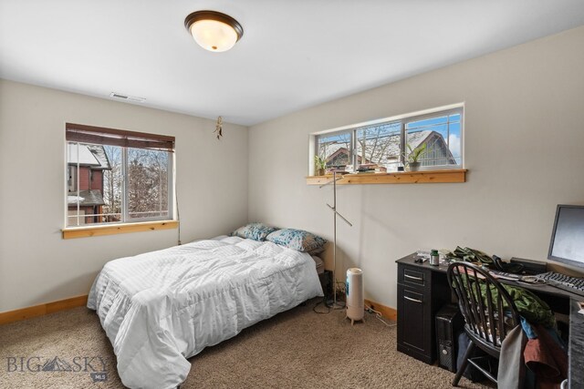3091 Fen Way Unit D, Bozeman, MT 59718 - photo 36