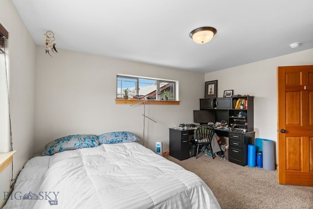 3091 Fen Way Unit D, Bozeman, MT 59718 - photo 37