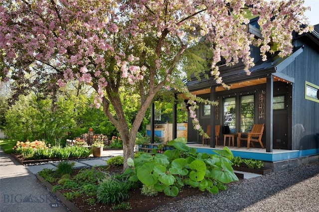 401 S Bozeman Ave, Bozeman, MT 59715 - view of yard featuring a porch