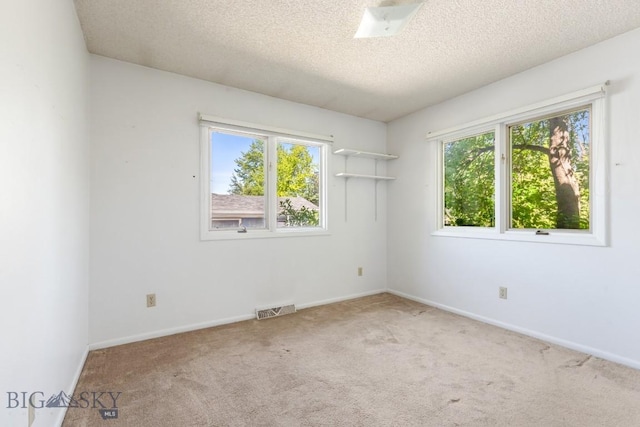 117 Henderson St, Bozeman, MT 59715 - carpeted empty room with a textured ceiling and baseboards
