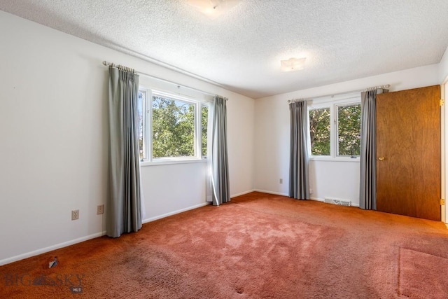 117 Henderson St, Bozeman, MT 59715 - empty room with carpet floors and a textured ceiling