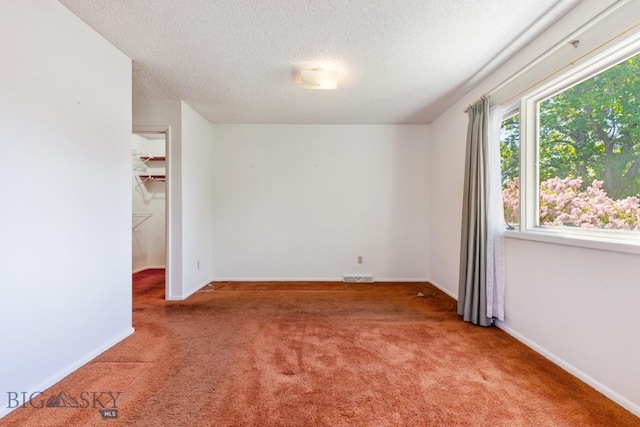 117 Henderson St, Bozeman, MT 59715 - unfurnished room with carpet floors and a textured ceiling