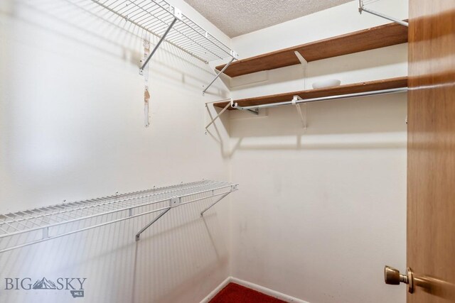117 Henderson St, Bozeman, MT 59715 - view of walk in closet