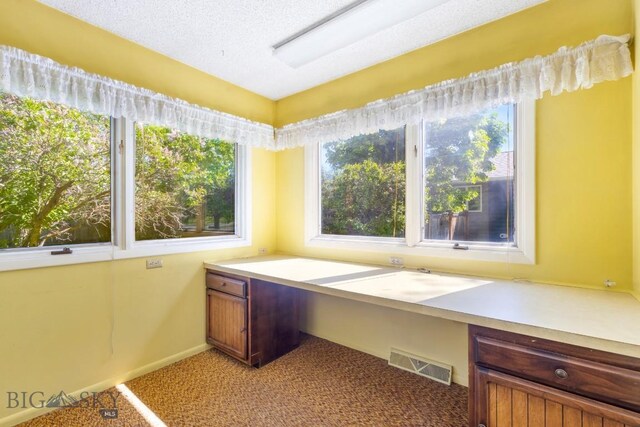 117 Henderson St, Bozeman, MT 59715 - unfurnished office featuring built in desk and light colored carpet