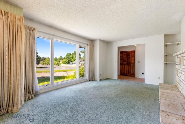 117 Henderson St, Bozeman, MT 59715 - unfurnished living room with light colored carpet and a textured ceiling