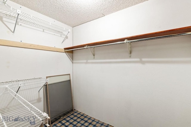 117 Henderson St, Bozeman, MT 59715 - view of walk in closet