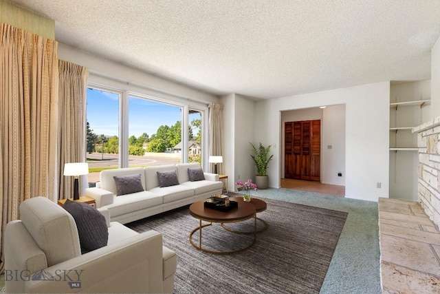117 Henderson St, Bozeman, MT 59715 - living room with a textured ceiling and carpet