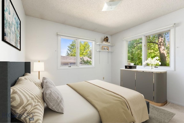 117 Henderson St, Bozeman, MT 59715 - bedroom with a textured ceiling and light carpet