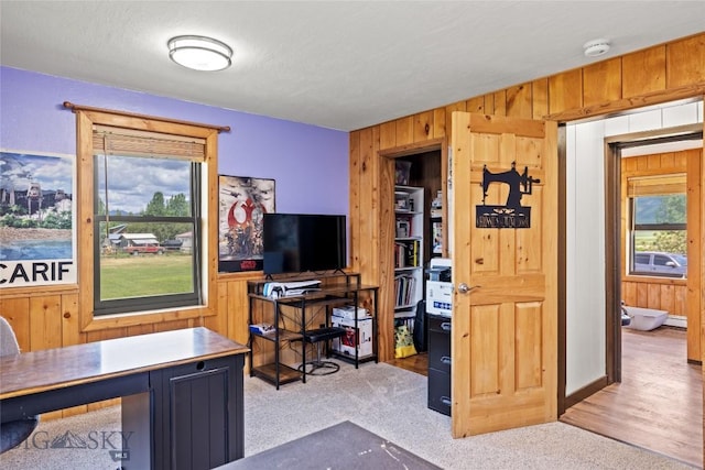 3573 Spain Bridge Rd, Belgrade, MT 59714 - carpeted office space featuring wooden walls