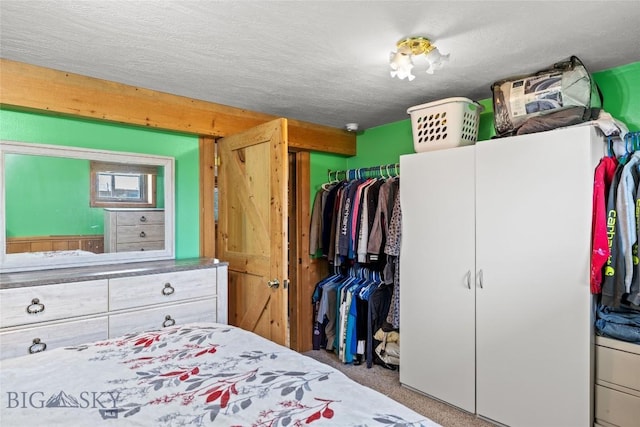 3573 Spain Bridge Rd, Belgrade, MT 59714 - bedroom featuring a closet and carpet