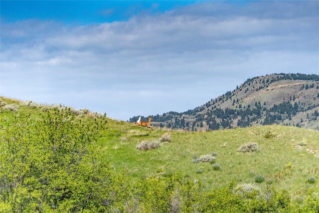 730 US Highway 10 W, Livingston, MT 59047 - mountain view