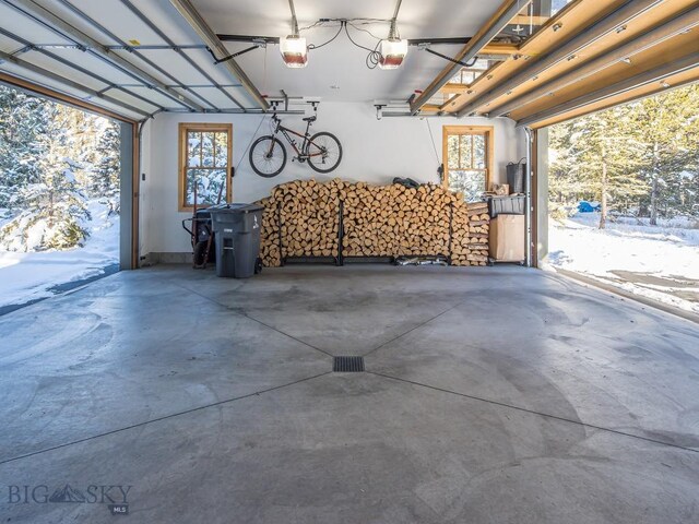 1255 Andesite Rd, Big Sky, MT 59716 - garage featuring a garage door opener