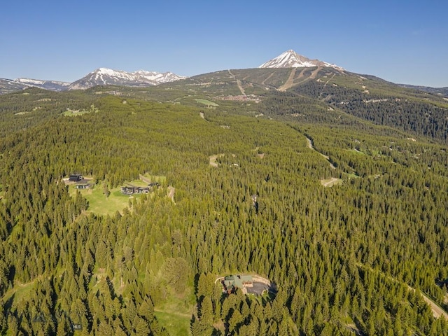 725 Sandhill Rd, Big Sky, MT 59716 - mountain view featuring a forest