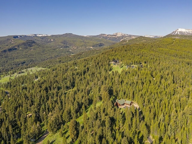 725 Sandhill Rd, Big Sky, MT 59716 - view of mountain backdrop featuring a forest
