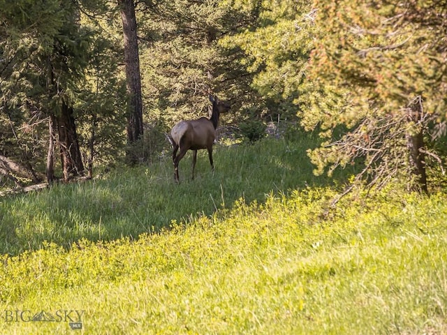 725 Sandhill Rd, Big Sky, MT 59716 - view of undeveloped land