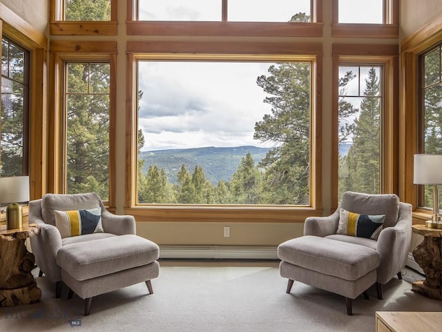 725 Sandhill Rd, Big Sky, MT 59716 - sunroom with a baseboard heating unit and a mountain view