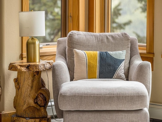 725 Sandhill Rd, Big Sky, MT 59716 - sitting room with baseboard heating