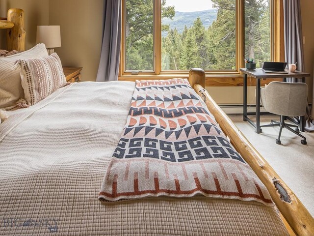 725 Sandhill Rd, Big Sky, MT 59716 - carpeted bedroom featuring a baseboard radiator