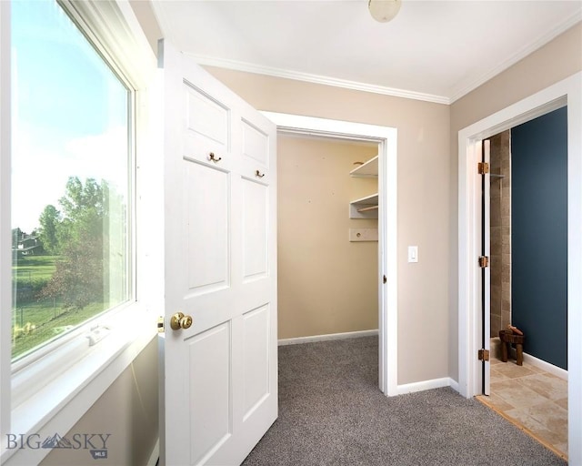 8373 Goldenstein Ln, Bozeman, MT 59715 - corridor with light colored carpet and ornamental molding