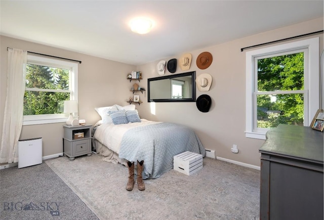 8373 Goldenstein Ln, Bozeman, MT 59715 - bedroom with a baseboard heating unit and carpet flooring